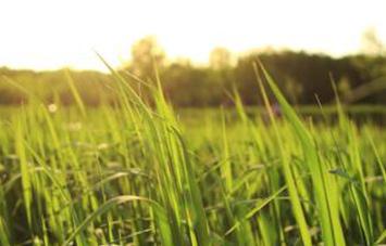 ����ʩ������Щע����헣�����ʩ�ʵ�Ҫ�c