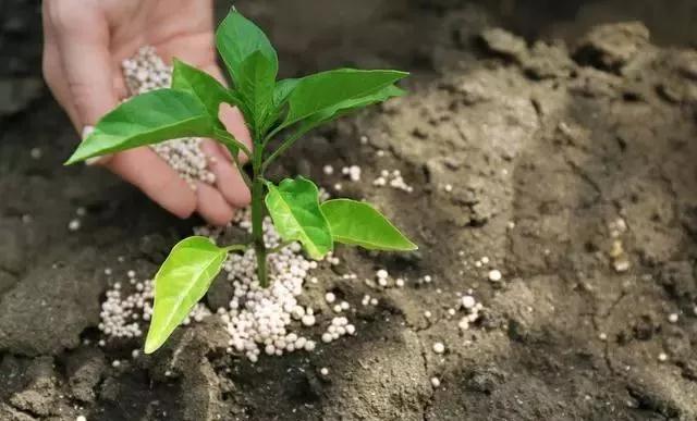 �����÷� �@���N���ϴ���ʹ�� ��ԇԇ��