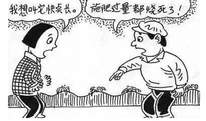 ���·ʲ����䌍���ʺ�����Ҫ����