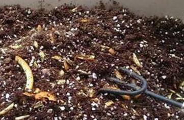 ����������Ʒ��ϣ����Ʒ��ϵ�С�[�T