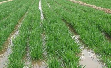 С��ʲô�r�򝲷���ˮ�ã�С��������ʩ�ʝ�