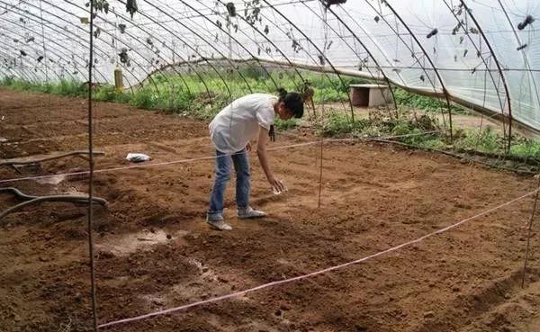 ���������������@Щ���W���������ٲ������g�s����