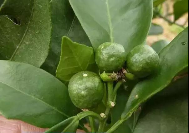 ���ʹ��ʮ���`�^Ҫע�⣬���_��ʹ�÷������@����