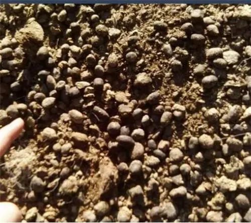 ����S�������m��ֱ��������