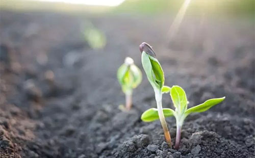 ����ȵ����������ЙC�|(zh��)���֏�(f��)�ͱ������������ѽ�(j��ng)���ڱ���