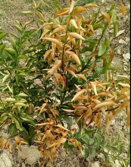 ʩ�ʲ���(d��ng)���ܽ^���������@�ɴ�ʩ��Ҫ�c(di��n)һ��Ҫע�⣡