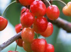 ��Ԫ����ʲô���ã�����ȱ����ʲô�����