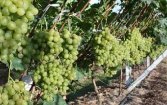 �������ʩ����������ʩ���ʵ�Ҫ�c����Щ��