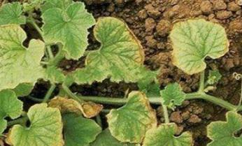 ��β��ܴ���ʩ���׷����׷��^����ʲô�����