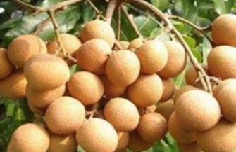 ����ʩ��Ҫע��Ć�(w��n)�}���������ۘ�(sh��)ʩ�ʼ��g(sh��)