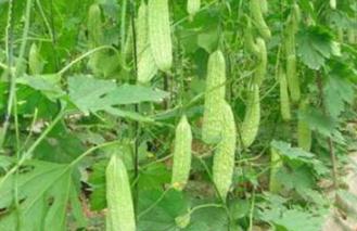 �߲�ʩ��С���ɣ����Ҫ�ڽY���ڽ��ø�⛷ʣ�