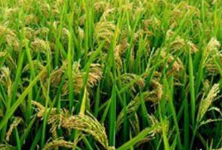 ˮ������ʩ����Ҫע����Щ���}��