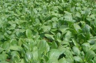 �Ͳ���ʲô�ӵ����Ҏ�ɣ��Ͳ�ƽ��ʩ����ע�����