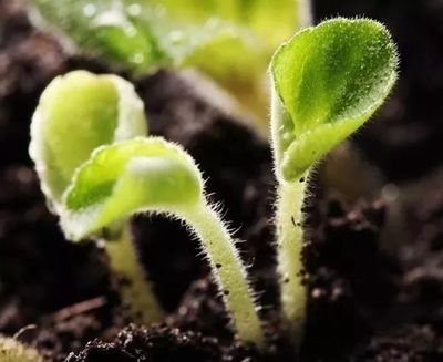 �ЙC(j��)�|(zh��)����ֳ�|(zh��)����ֳ�ᵽ����ɶ�^(q��)�e��