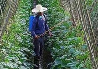 ��Ҋʩ�ʷ�ʽ�������Č��᣿