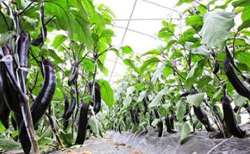 ����ʩ����α���ʺ��F������ʩ���ʵ����_����