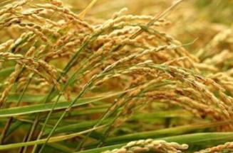 ˮ������ʩ���ʣ�ˮ��ʩ�����^�����µ�Σ����