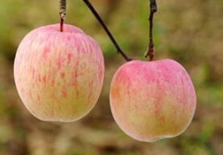 �O����ʲô������c���O��ʩ�ʼ��gҪ�I