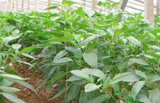 ����������ʩ�ʼ��g����Щ������ʩ��ע�����