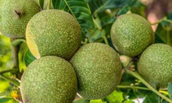 ɽ���Ҟ��Ҫʩ����ʣ�ʩ����ʵ���������Щ��