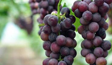 ������ôʩ�ʮa����������ʩ�ʕr�g������