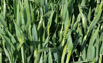 2019��С��?zh��n)�ô�r��׷�ʱ��^�ã�