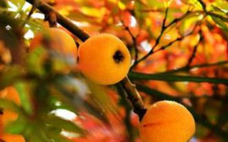 �W���@�ӽo�����ʩ�ʼ��g���������Ӯa����