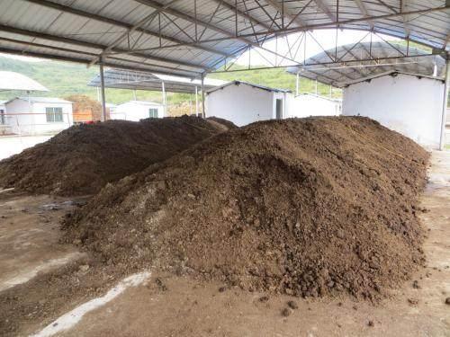 ���|���ЙC�ʣ�Ҫ�l�Ͷ�������