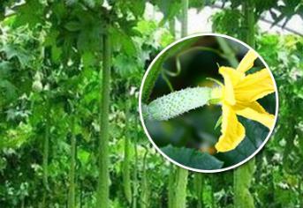 �ϲ�ʩ����ע����Щ��(w��n)�}���ϲ����ʩ�ʲ������a(ch��n)��