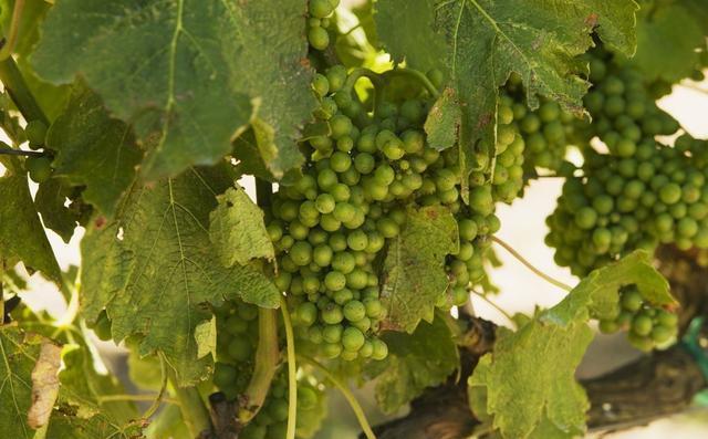 �����к������ʩ��⛷ʣ�����⛷�ʩ��Ҫ�c