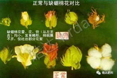 ����ȱ���������ӽoȱ����������a��