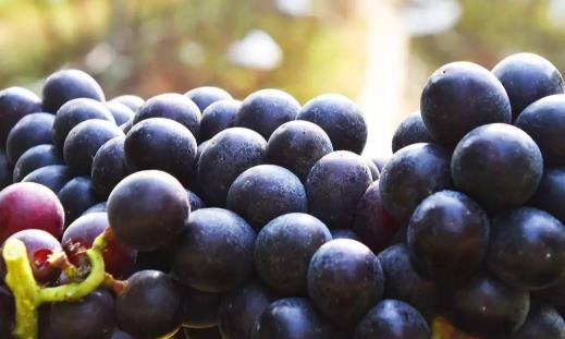 �ĺ����ю��³��죿�ĺ����ю��·����У�