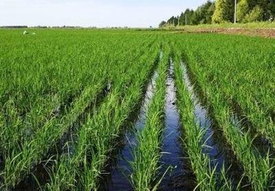 ⛷ʌ�ˮ������������Щ��ˮ��⛷ʵ����_ʩ�÷�