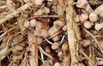 �P�ڸ�������֪������������ʹ�ø�����ʩ����