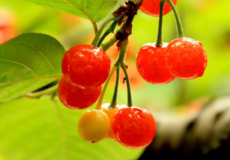 ���Ҙ�����ʩ�ʺã����҃�(y��u)�|�߮aʩ�ʷ���