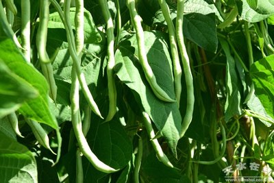 �߲���ʲô���ɣ��߲����a(ch��n)���ЙC(j��)�ʵ����_ʹ�÷���