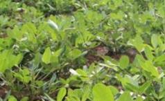 �����a���@Щ�~��ʣ������S��������p�a��