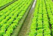 ʹ�þ���ע���������Щ������ʩ�ü���