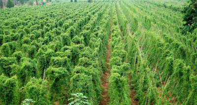 ��ɽˎ��ʩ���ЙC(j��)�ʕrҪע��ʲô��