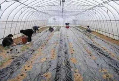 �ߜؐ��8��Ҫ�I���ò��ã����ڰ׸�