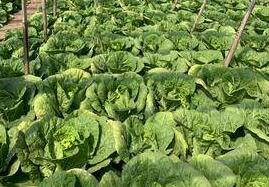 �������~�������xُ���~���ُ�Iע���`�^