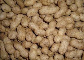 �������ʵ�����ɶ������������ʩ��ע�����(xi��ng)