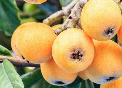 ���˸߮a���ʩ�ʣ���������Щʩ�ʷ�����