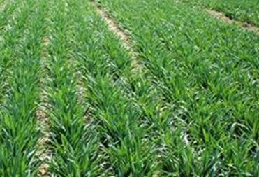 2019��С��ʲô�r��׷�ʱ��^����