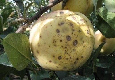 �O��ȱ�}�Y��Խ��Խ��Ҋ��ԓ����A���أ�