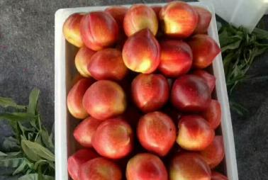 ����׷��ע����������äĿ�yʩ��