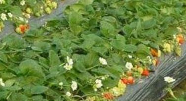 ʲô���������~��ʣ����ü����c���˽�ô��