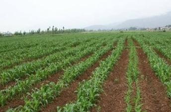 ������⛡����׽y(t��ng)�y(t��ng)��Ҫ�������ʩ���з�����