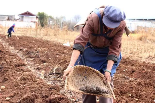 �������ʷ�Ч��ô�ӣ���οƌW(xu��)ʩ�û������ʣ�