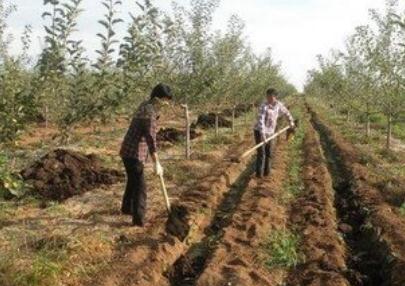 ��Ҋʩ�ʷ�ʽ�������Č��᣿